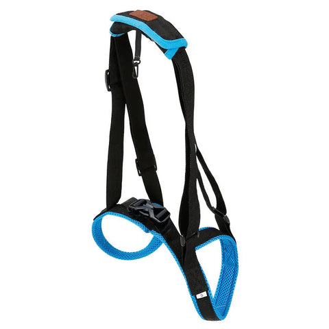 Pet Leg Strap Walking Support Dog Leg Support null