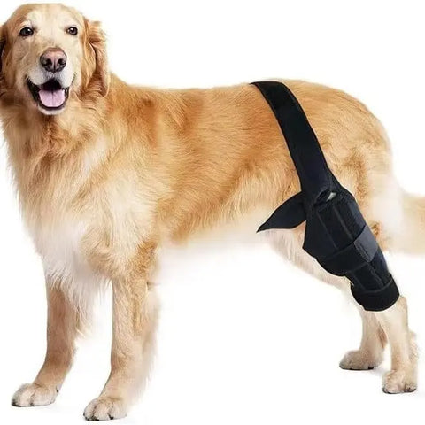 Pet Protective Gear Dog Leg Injury Assistance Support Bar Rehabilitation Training Belt null