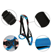Pet Leg Strap Walking Support Dog Leg Support null