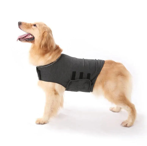 Pet dog anxiety comfort clothing null