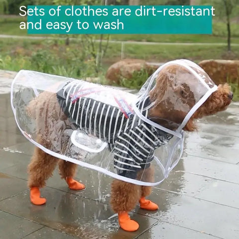 Pet Raincoat Dog Small Dog null