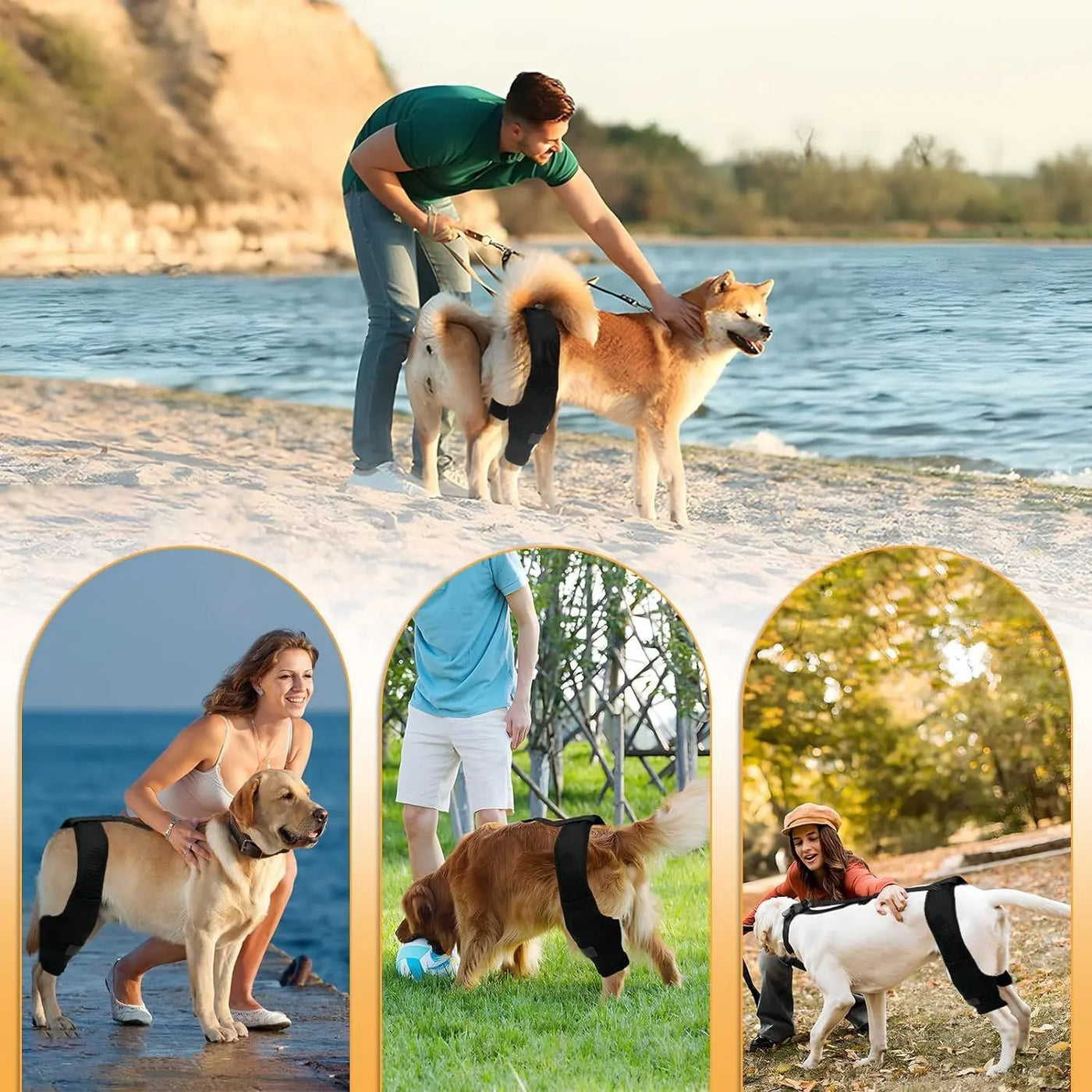 Leg Protector For Dogs Knee Brace Auxiliary Belt Joint Protection Pet Supplies Great Deal null