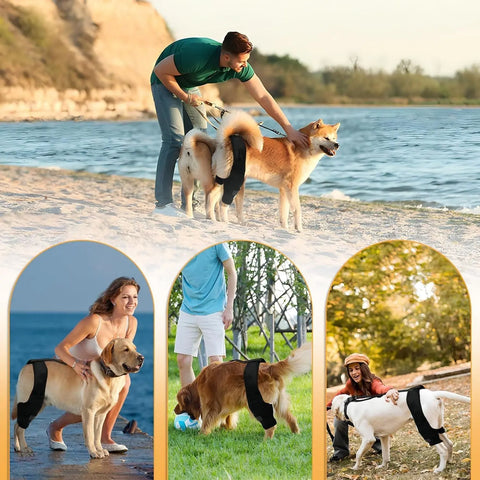 Leg Protector For Dogs Knee Brace Auxiliary Belt Joint Protection Pet Supplies Great Deal null