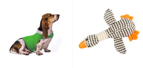 Anxiety Jacket Vest Summer Medical Treatment To Calm Down Cat Clothes Dog Comfort Clothes null