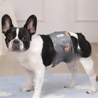 Pet Washable Physiological Dog Diaper Pants null