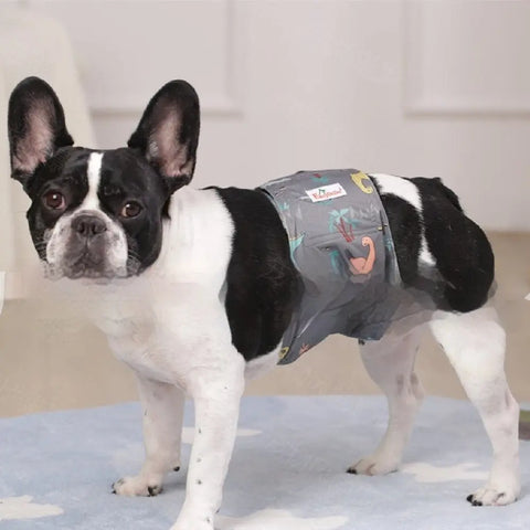 Pet Washable Physiological Dog Diaper Pants null