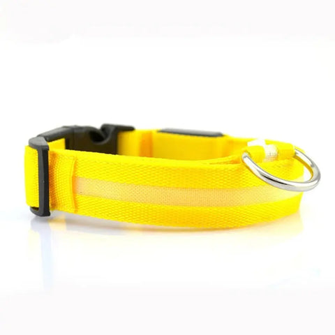 LED Pet Safety Collar null
