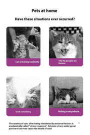 Soothing Solution Pet Emotion Soothing Spray For Cats null