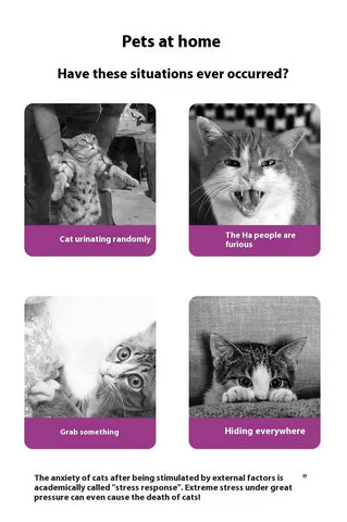 Soothing Solution Pet Emotion Soothing Spray For Cats null
