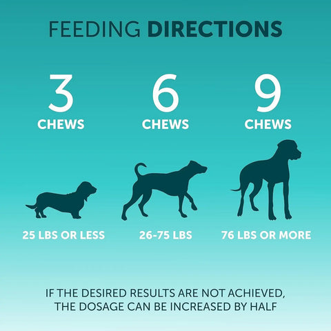 Pet Intestinal Probiotic Chewable Tablets null