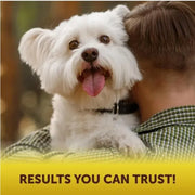 Scoot Stopper Soft Chews Fiber For Dogs Dog Anal Gland And Digestion Support Anal Gland Chews With Pumpkin And Psyllium Husk 180 Chewables For Dog Digestive Health null