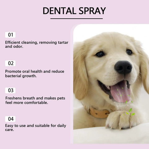 Pet Teeth Spray Care Clean Pet Mouth null