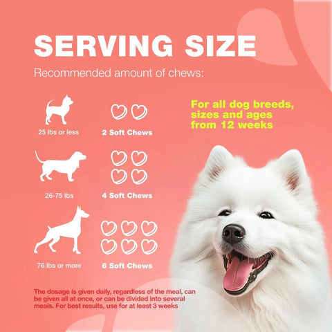 Dog Flea And Tick Treatment Chews - Natural Flea & Tick Control null