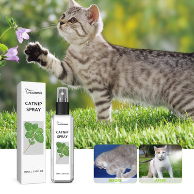 Pet Vitality Health Care Spray null
