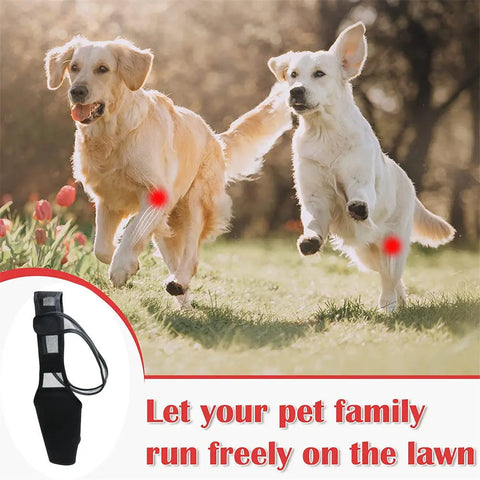 Dog Leg Injury Support Knee Pad null