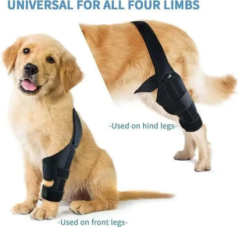 Pet Protective Gear Dog Leg Injury Assistance Support Bar Rehabilitation Training Belt null