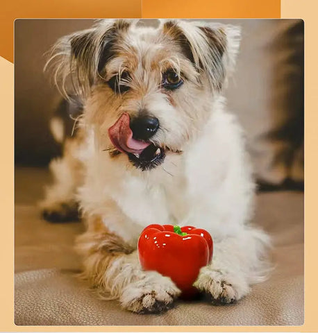 Fashionable Pet Stress Relief Educational Toy Vinyl null