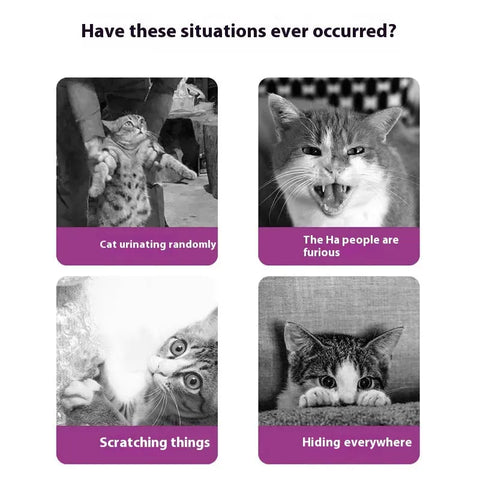 Soothing Solution Pet Emotion Soothing Spray For Cats null