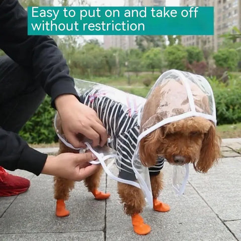 Pet Raincoat Dog Small Dog null