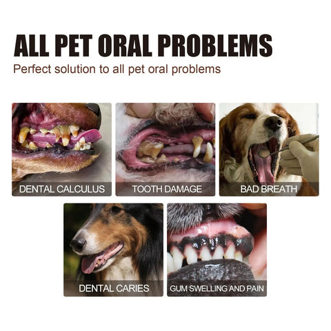 Pet Tooth Cleaning Spray null