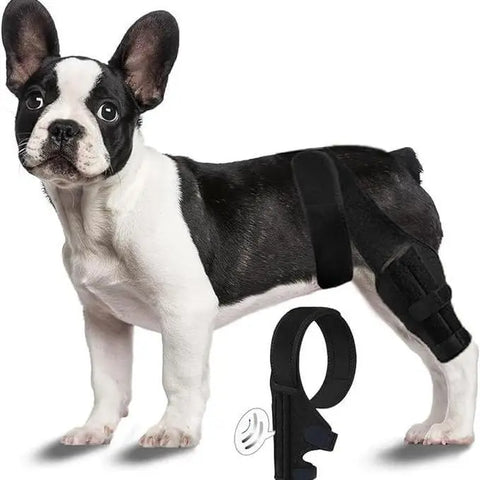 Pet Protective Gear Dog Leg Injury Assistance Support Bar Rehabilitation Training Belt null