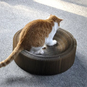 Corrugated Scratching Board Organ Nest Foldable Large Cat Toy Claw Sharpener Pet Supplies null