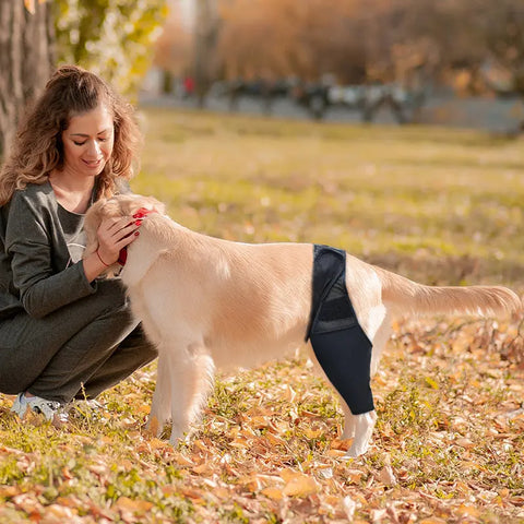 Pet Knee Pads For Joint Injury Recovery Legs Protector Dog Thigh Brace Wrap Adjustable Support Belt Post-operative Fixation null