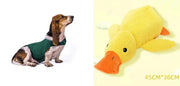 Anxiety Jacket Vest Summer Medical Treatment To Calm Down Cat Clothes Dog Comfort Clothes null
