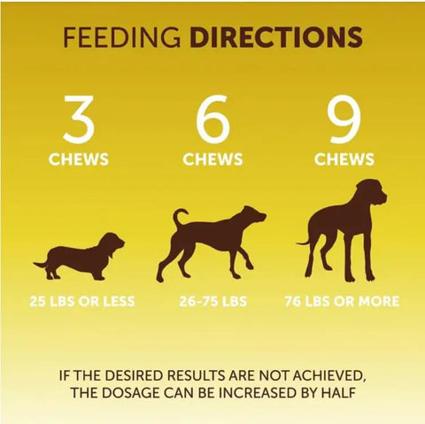 Scoot Stopper Soft Chews Fiber For Dogs Dog Anal Gland And Digestion Support Anal Gland Chews With Pumpkin And Psyllium Husk 180 Chewables For Dog Digestive Health null