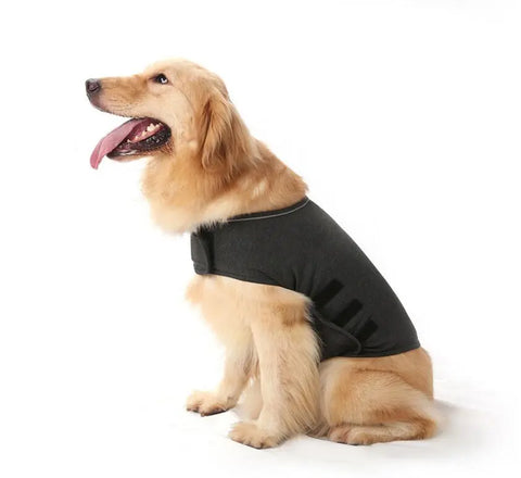 Pet dog anxiety comfort clothing null