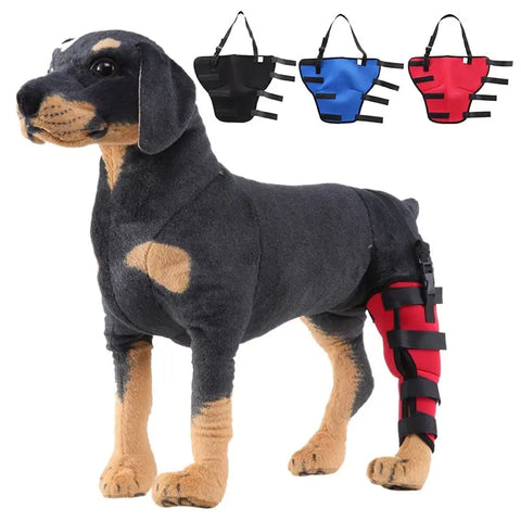 Postoperative Walking Aids For Dogs null