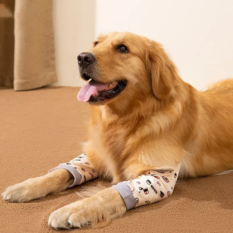 Dogs Knee Protector Pad For Calluses, Dog Knee Brace, Front Elbow Support Wrap, Dog Sleeves For Wounds Dog Elbow Callus Treatment For Medium Large Dogs With Scarf null