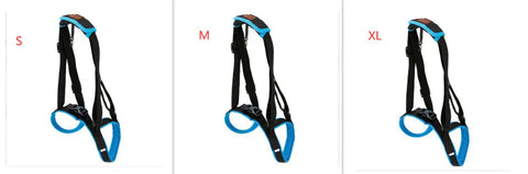 Pet Leg Strap Walking Support Dog Leg Support null