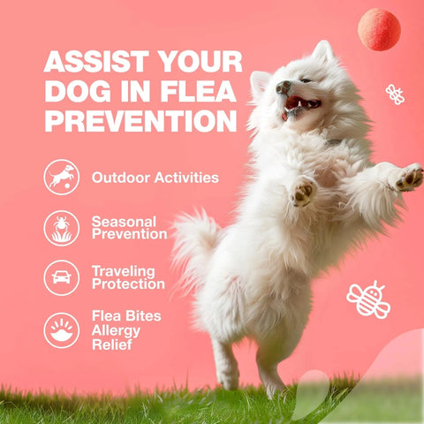 Dog Flea And Tick Treatment Chews - Natural Flea & Tick Control null