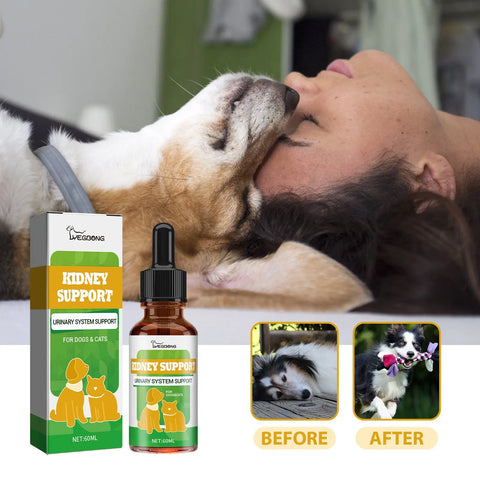 Pet Nutritional Supplements Enhance Energy Vitality null