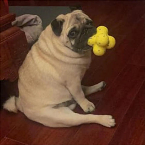 The Mellow Dog Calming Ball Mellow Dog Tennis Ball, Mellow Dog Emotional Support Ball null