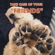 Pet Foot Care Cream null