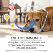 Care Older Dog Calcium Tablets Supplement Nutrition Pet Nutrition null