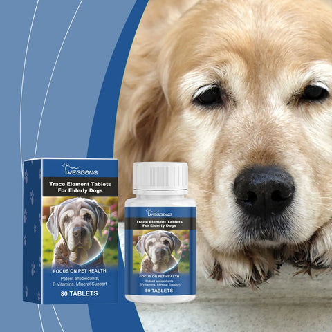 Care Older Dog Calcium Tablets Supplement Nutrition Pet Nutrition null