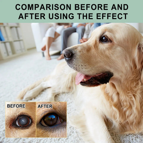 Dogs And Cats Eye Care Eye Drops null