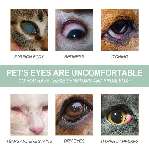 Dogs And Cats Eye Care Eye Drops null