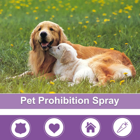 Pet Estrus Inhibiting Liquid Improves Estrus And Anxiety null
