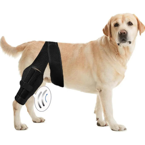 Pet Protective Gear Dog Leg Injury Assistance Support Bar Rehabilitation Training Belt null