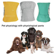 Male Dog Special Waterproof Belt Absorbent Diaper null