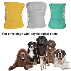 Male Dog Special Waterproof Belt Absorbent Diaper null