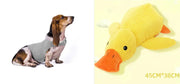 Anxiety Jacket Vest Summer Medical Treatment To Calm Down Cat Clothes Dog Comfort Clothes null