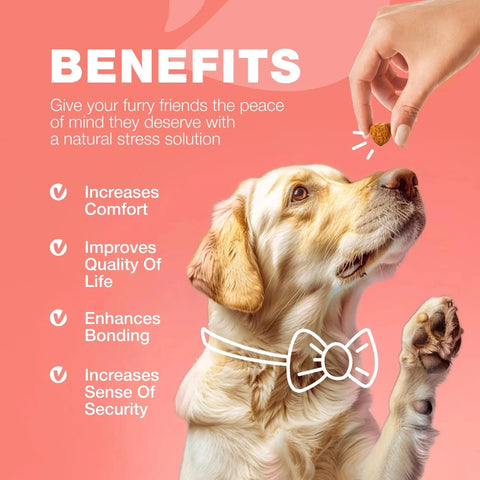 Dog Flea And Tick Treatment Chews - Natural Flea & Tick Control null
