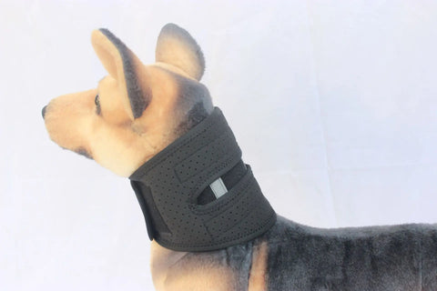 Dog Neck Brace Supports Cervical Vertebral Sprains Instability, Neck Brace For Dog Cervical Collar,Helps Puppy Recover null