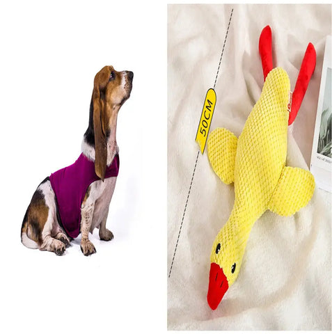 Anxiety Jacket Vest Summer Medical Treatment To Calm Down Cat Clothes Dog Comfort Clothes null