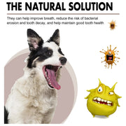 Pet Tooth Cleaning Spray null